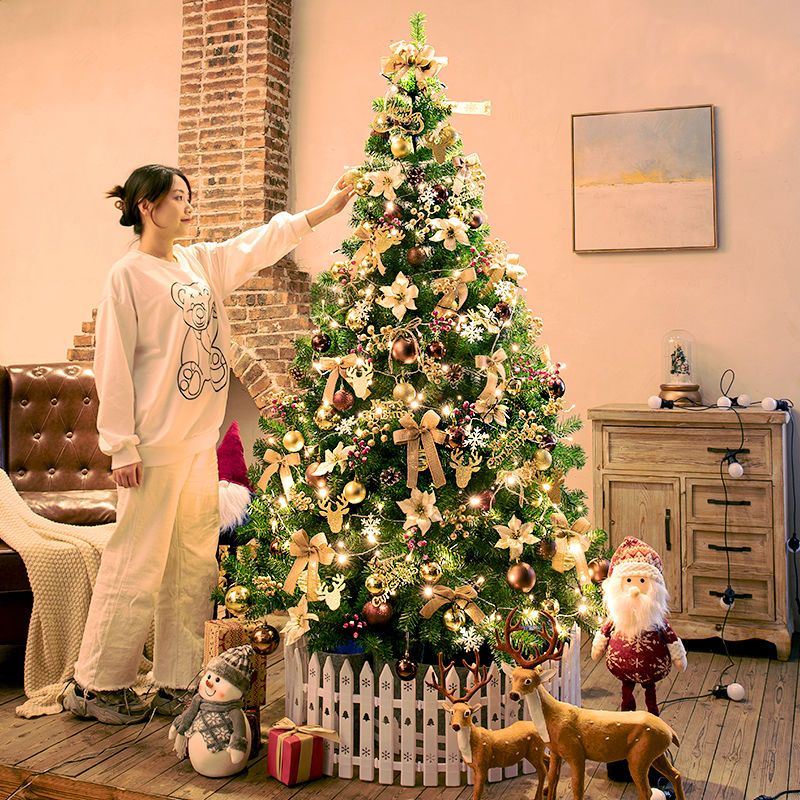 圣诞节圣诞树2023年新款装饰树装饰品室内家居家庭卧室客厅商场