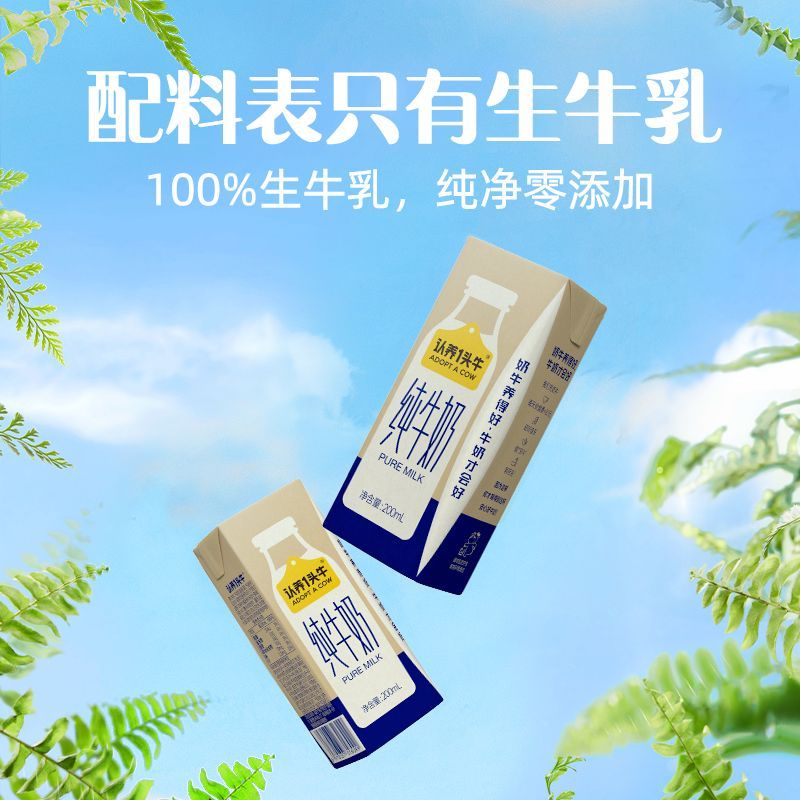 10月产认养一头牛纯牛奶200ml*16盒*1箱囤货营养早餐奶学生老人