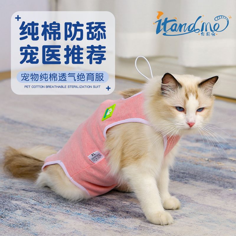 猫咪手术服薄款绝育服断奶服防舔防掉毛公猫母猫术服后宠物绝育服