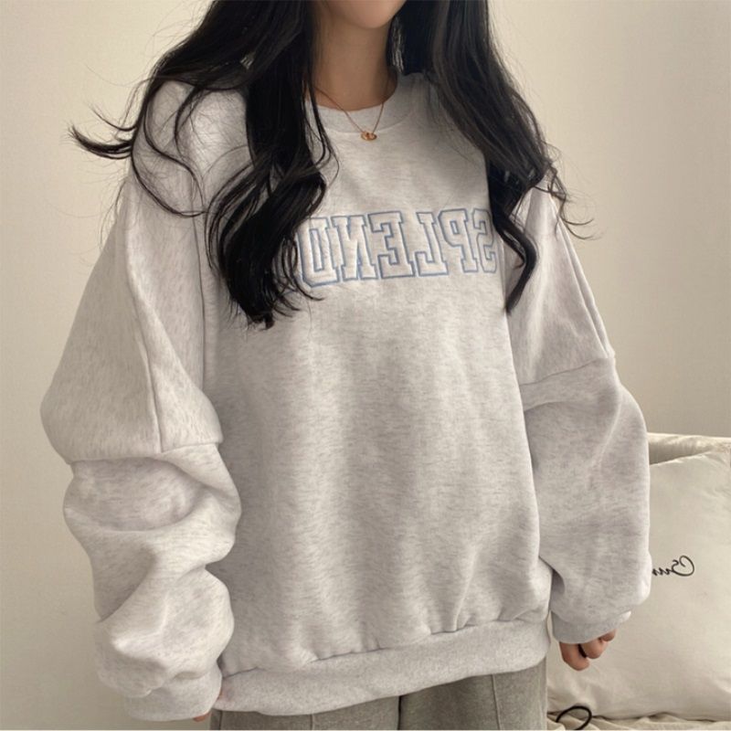 Dame 2023 ny hættetrøje med løstsiddende forår, efterår, vinter og tyk frakke med ekstra bomuldshættetrøje, plus size pink_voghion.com