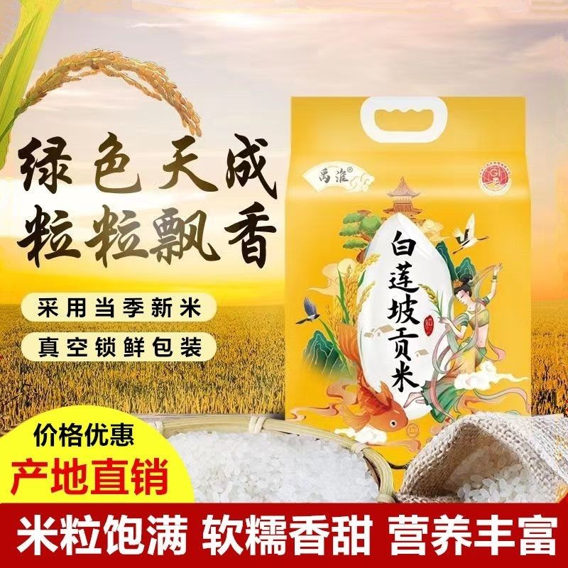 禹淮白莲坡贡米仙女当地特产当季新米10斤真空包装大米