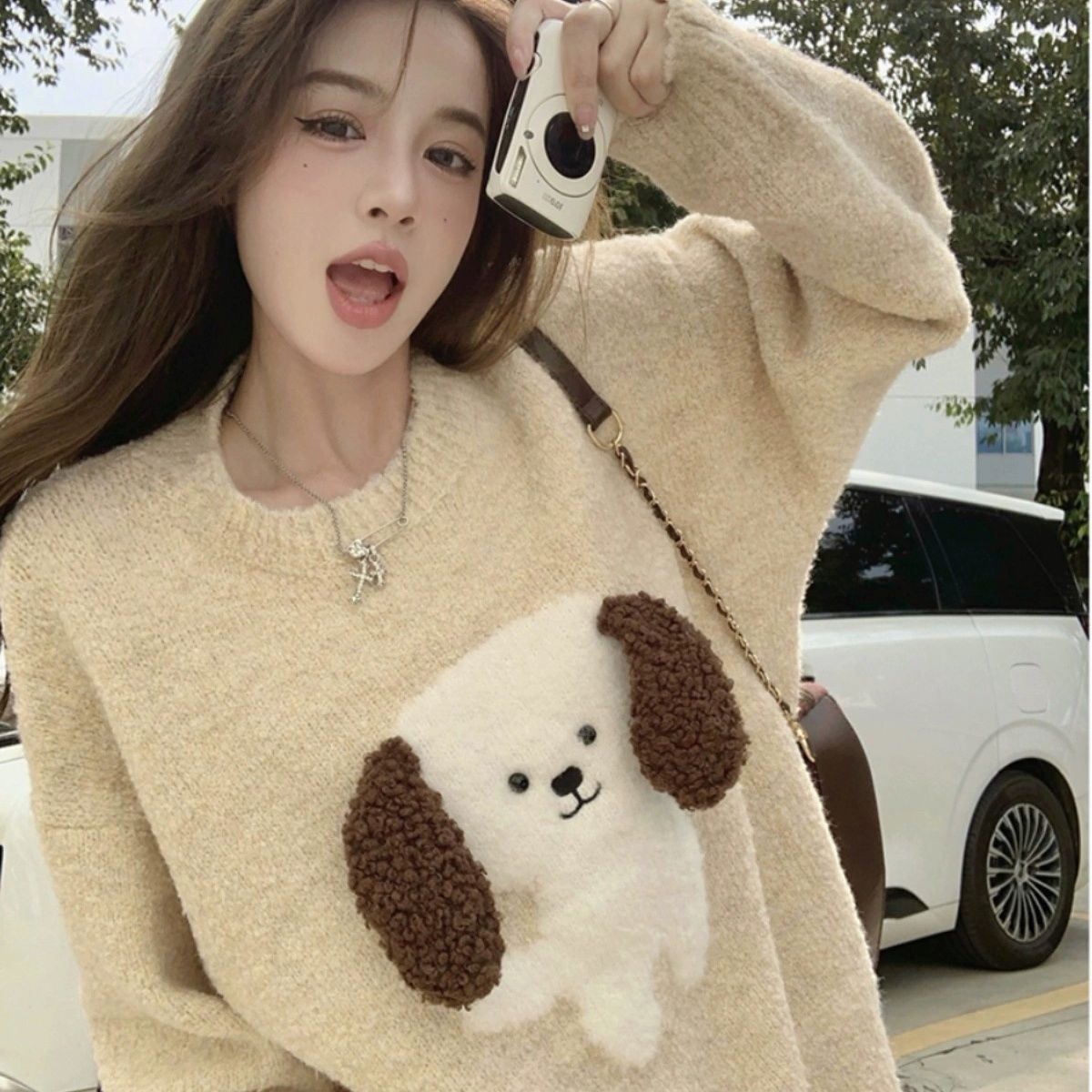 Cute dog sweater autumn and winter new loose fashion design niche lazy style knitted top women's ins