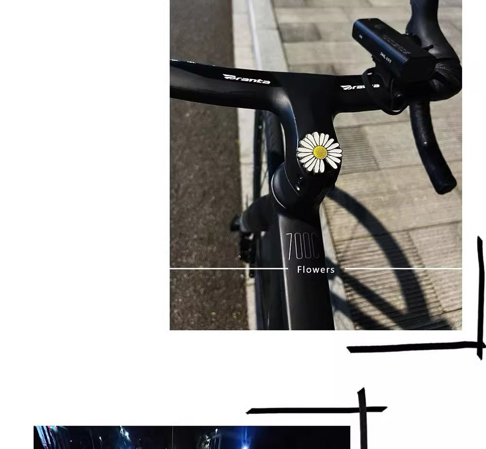 Charming Daisy Handlebar Decoration For Bicycles And Motorbikes_voghion.com
