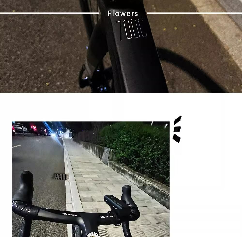 Charming Daisy Handlebar Decoration For Bicycles And Motorbikes_voghion.com