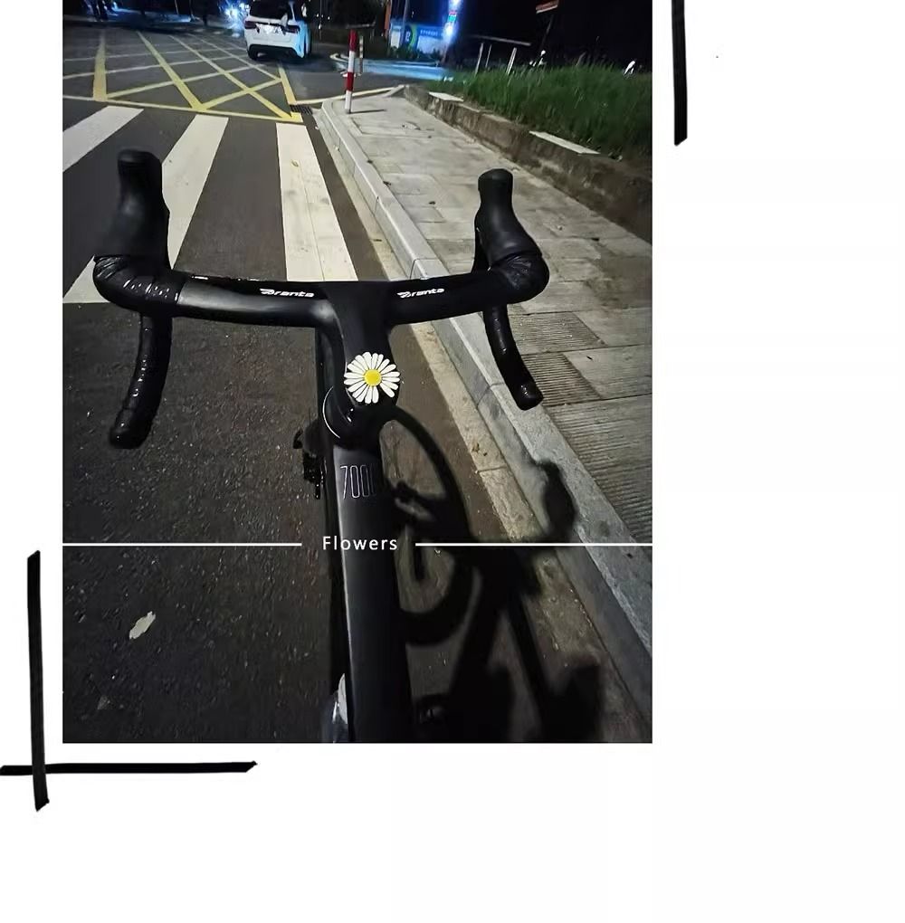 Charming Daisy Handlebar Decoration For Bicycles And Motorbikes_voghion.com