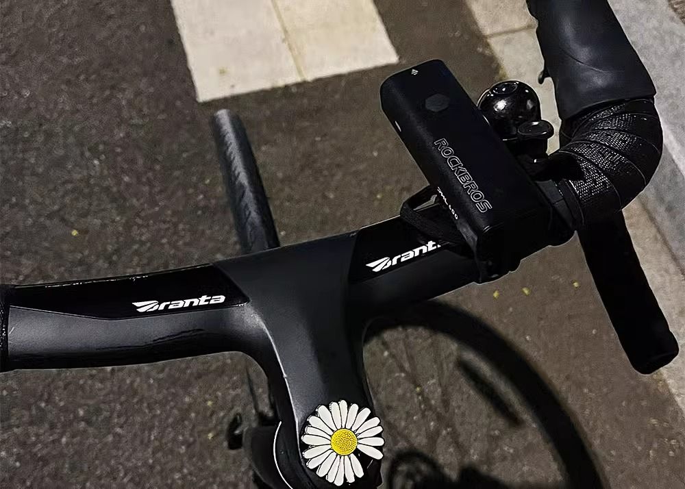 Charming Daisy Handlebar Decoration For Bicycles And Motorbikes_voghion.com