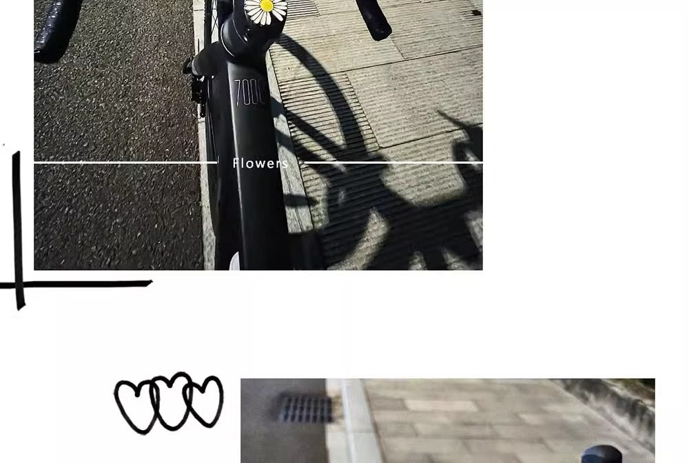 Charming Daisy Handlebar Decoration For Bicycles And Motorbikes_voghion.com