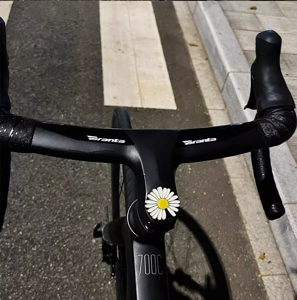 Charming Daisy Handlebar Decoration For Bicycles And Motorbikes_voghion.com