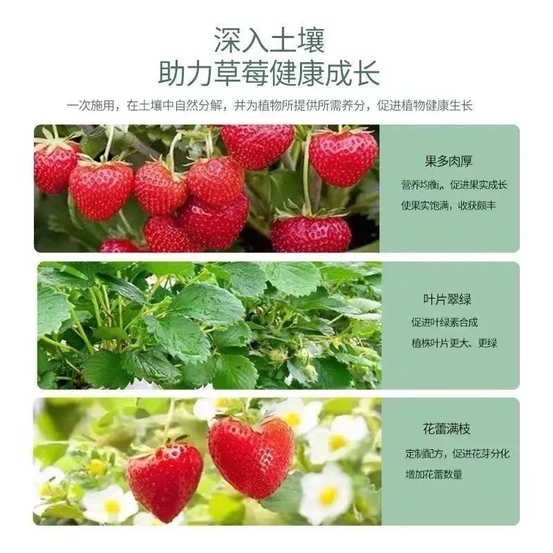 【快速】草莓专用肥防黄叶植物不开花促根壮苗催花增产家用营养液