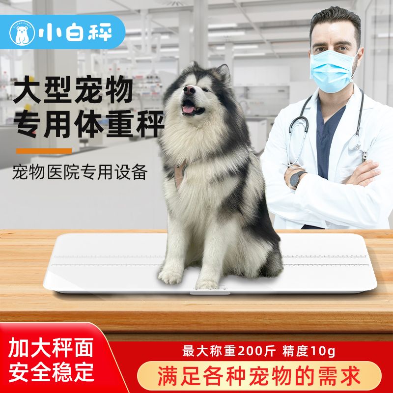小白秤智能宠物电子秤专用猫咪狗狗宠物店医院大型体重称重器商用