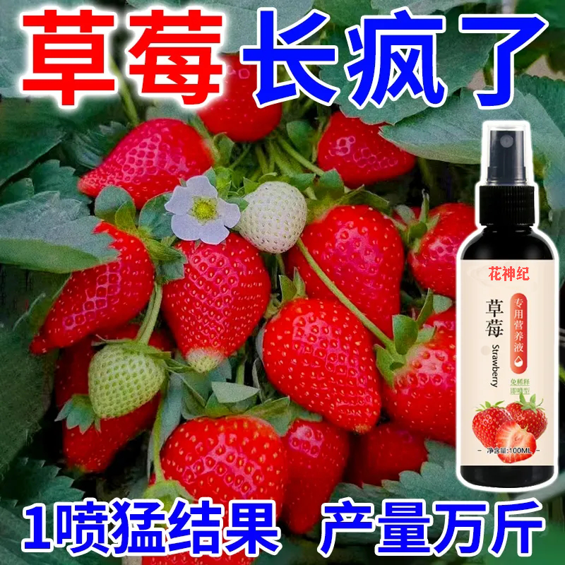 草莓营养液专用肥料防黄叶壮苗催花催果结果开花叶面肥草莓急救