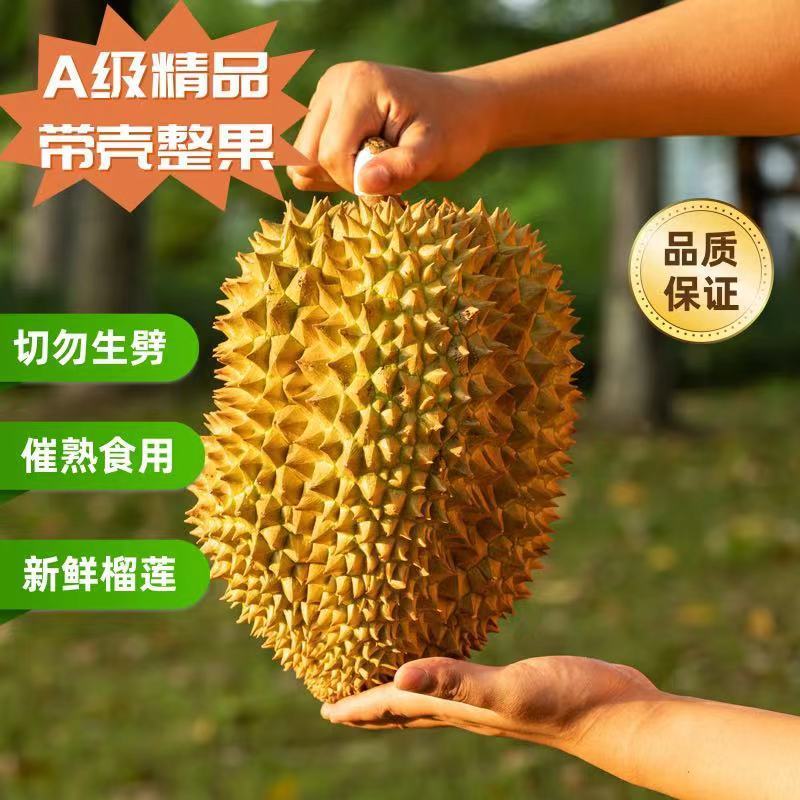 【包甜的】正宗泰国金枕头进口榴莲整个带壳应季鲜果孕妇可吃批发 图片 2