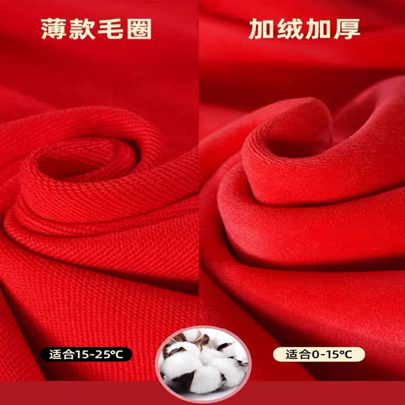 中国风龙年宝宝加绒卫衣洋气儿童纯棉上衣国潮红色亲子装长袖拜年