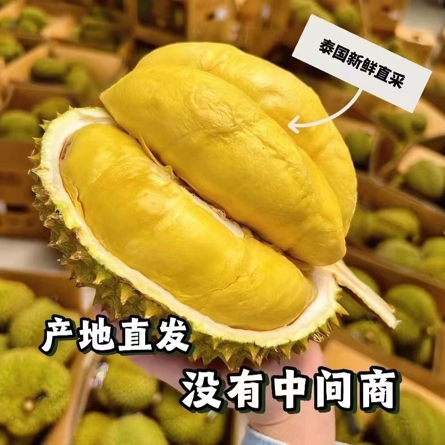 【包甜的】正宗泰国金枕头进口榴莲整个带壳应季鲜果孕妇可吃批发 图片 4