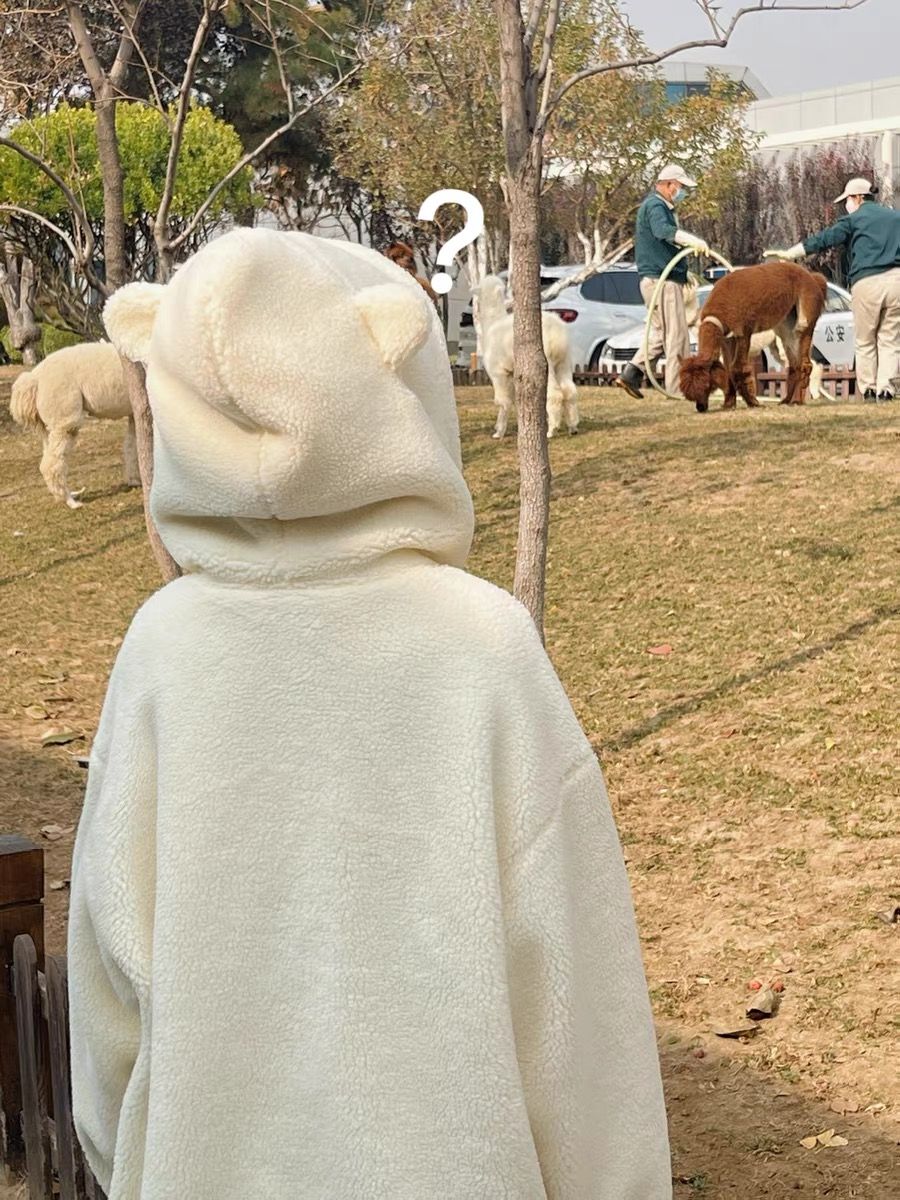 秋冬季羊羔新款加绒羊羔绒外套刺绣加厚可爱ins宽松连帽棉服