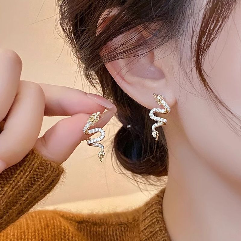 本命龍年騰飛耳釘女小眾輕奢高級感氣質耳飾新款2024爆款秋冬耳環