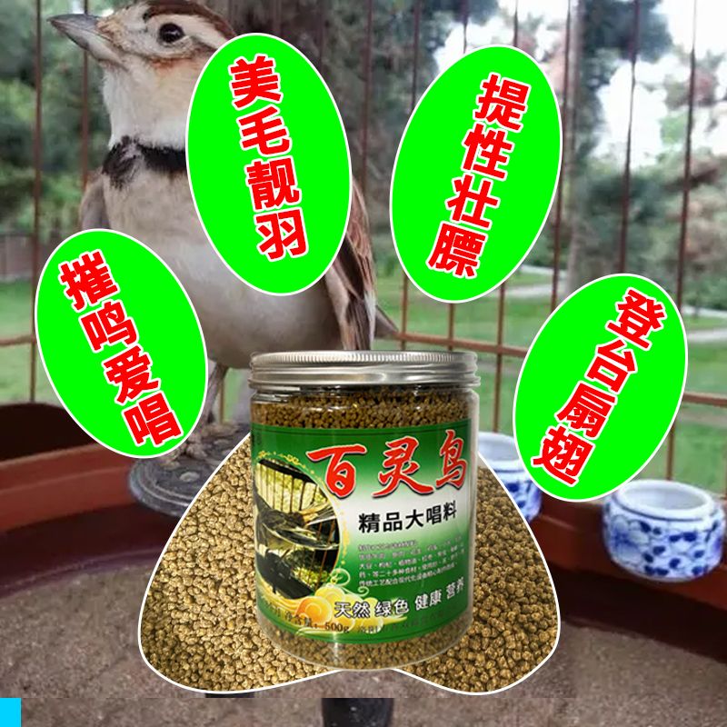 百灵鸟食饲料【不吃包退】百灵鸟专用饲料提性催鸣高档纯手工鸟食 图片 8