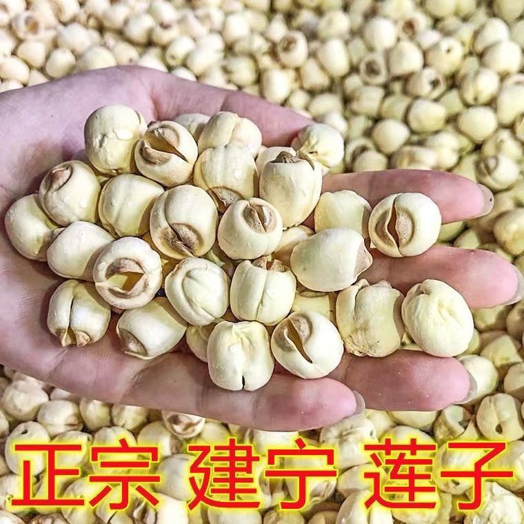 福建建宁正宗特级莲子王纯天然无硫野生去芯无芯新鲜白莲子批发价 图片 9