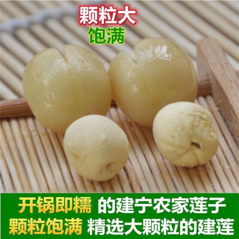 福建建宁正宗特级莲子王纯天然无硫野生去芯无芯新鲜白莲子批发价 图片 5