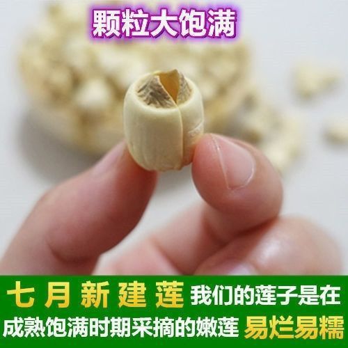 福建建宁正宗特级莲子王纯天然无硫野生去芯无芯新鲜白莲子批发价 图片 4