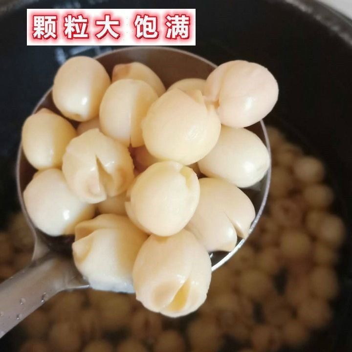 福建建宁正宗特级莲子王纯天然无硫野生去芯无芯新鲜白莲子批发价 图片 8