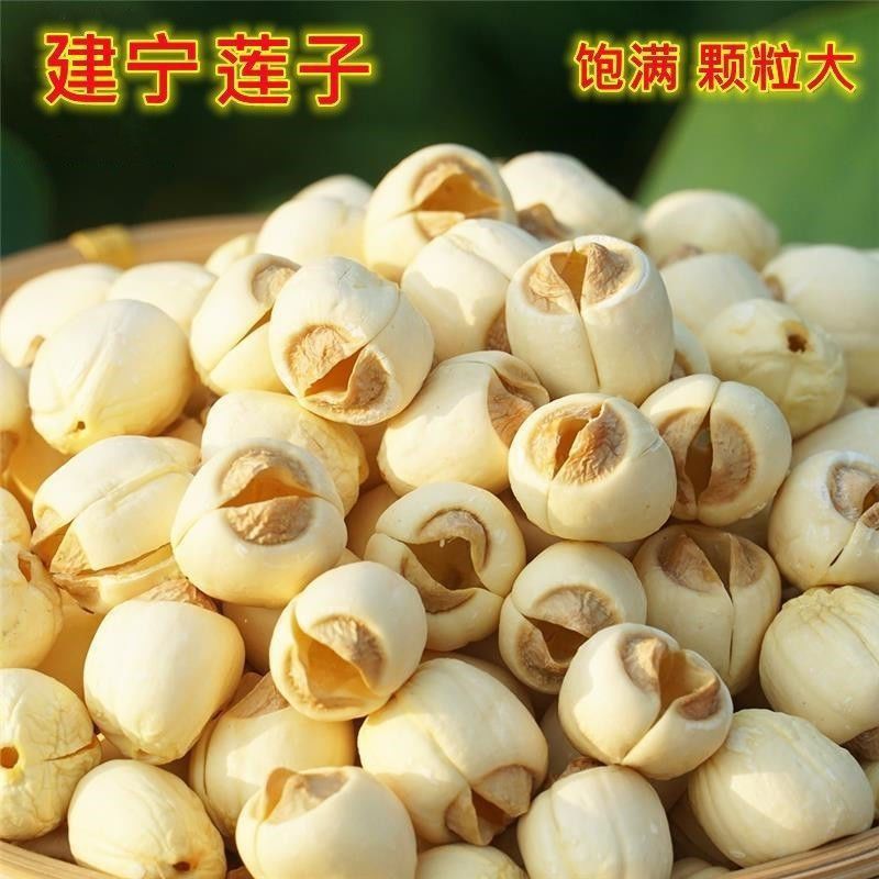 福建建宁正宗特级莲子王纯天然无硫野生去芯无芯新鲜白莲子批发价 图片 6