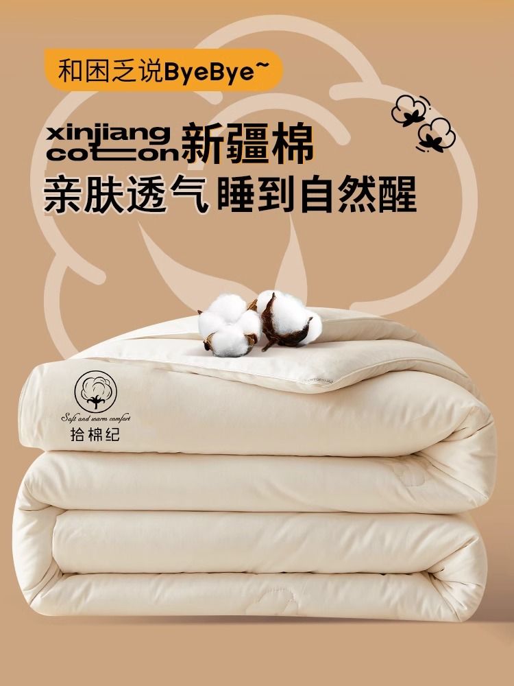 棉花被棉被冬季冬被子加厚保暖10斤200x230被芯四季通用春夏凉被2