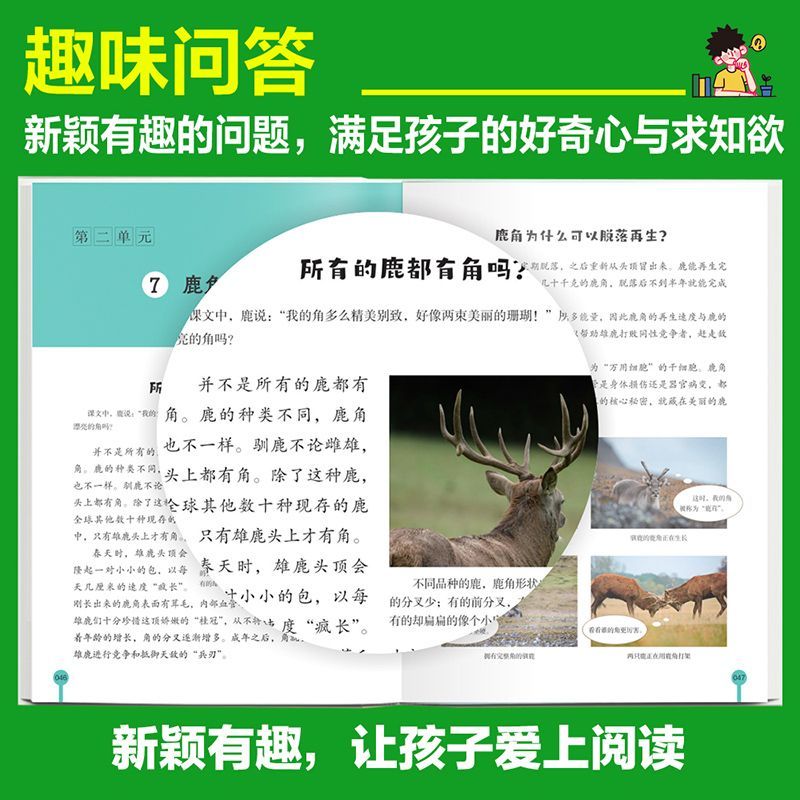 课本里的十万个为什么语文和科学版小学生1-6年级语文科学 图片 8