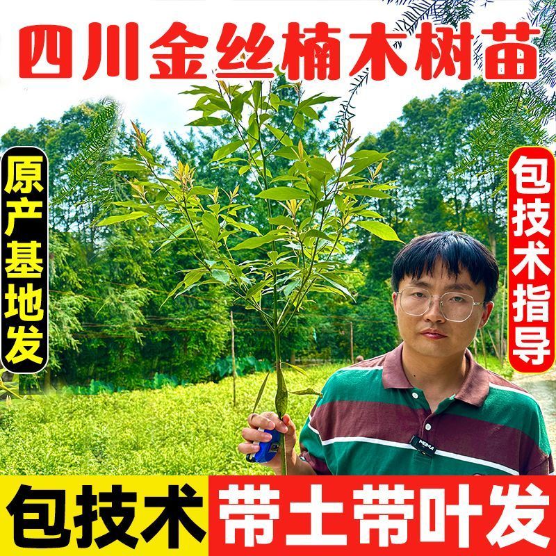 百网优惠(bwyh.cn)-提供一站式购物决策信息,实现轻松购物!