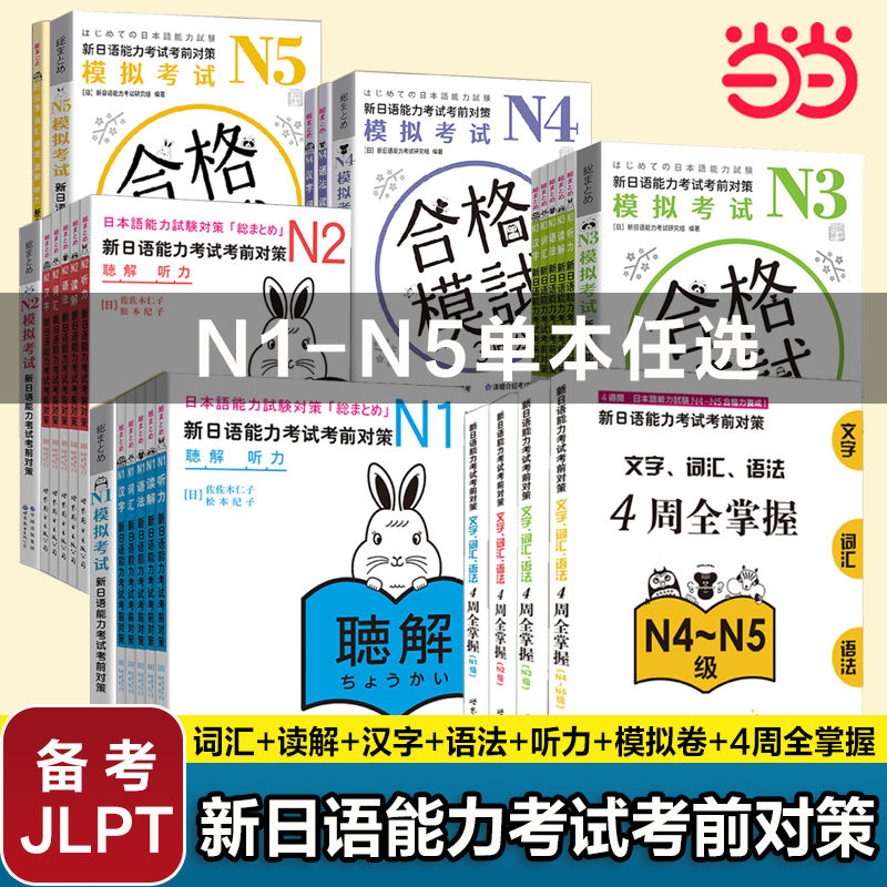 N1N2N3N4N5听力词汇语法读解汉字模拟新日语能力考试考前对策当当