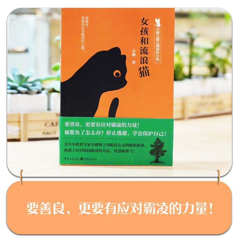 女孩和流浪猫