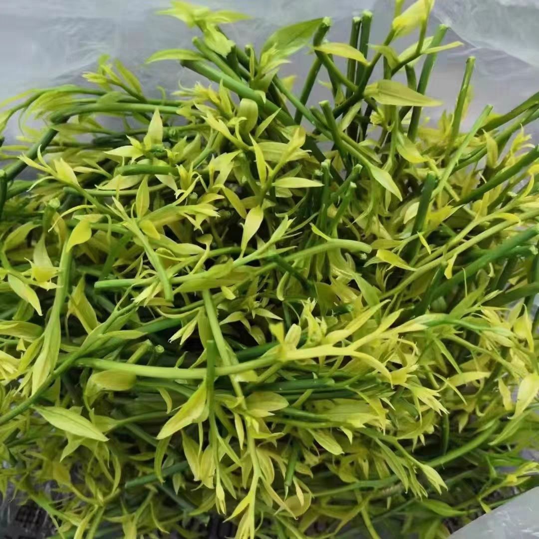 楚雄快递行业现状与发展趋势