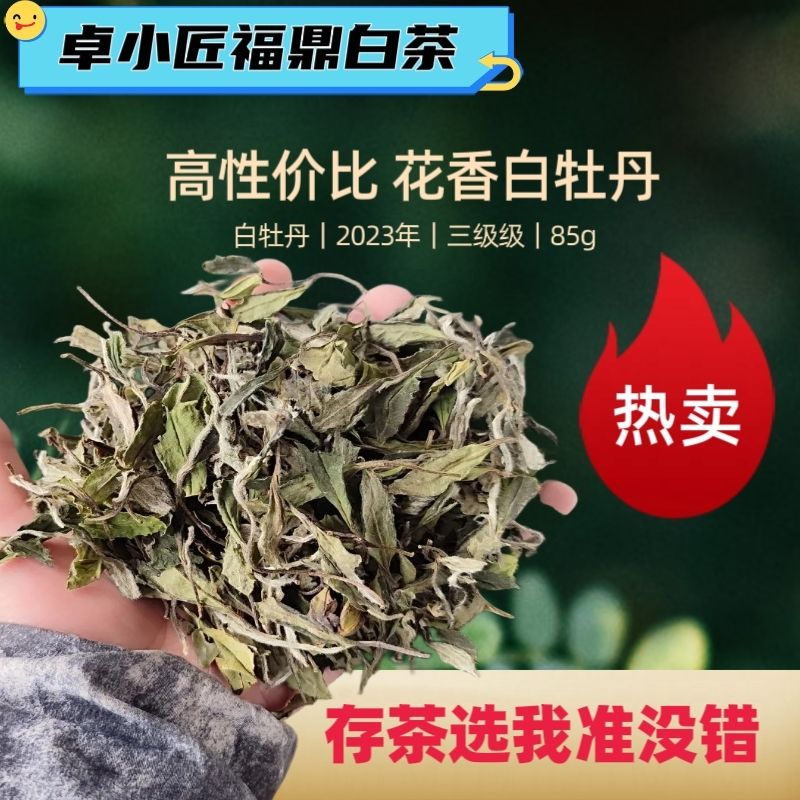 福鼎白茶2023三级花香白牡丹原产地正味自产自销散茶新茶
