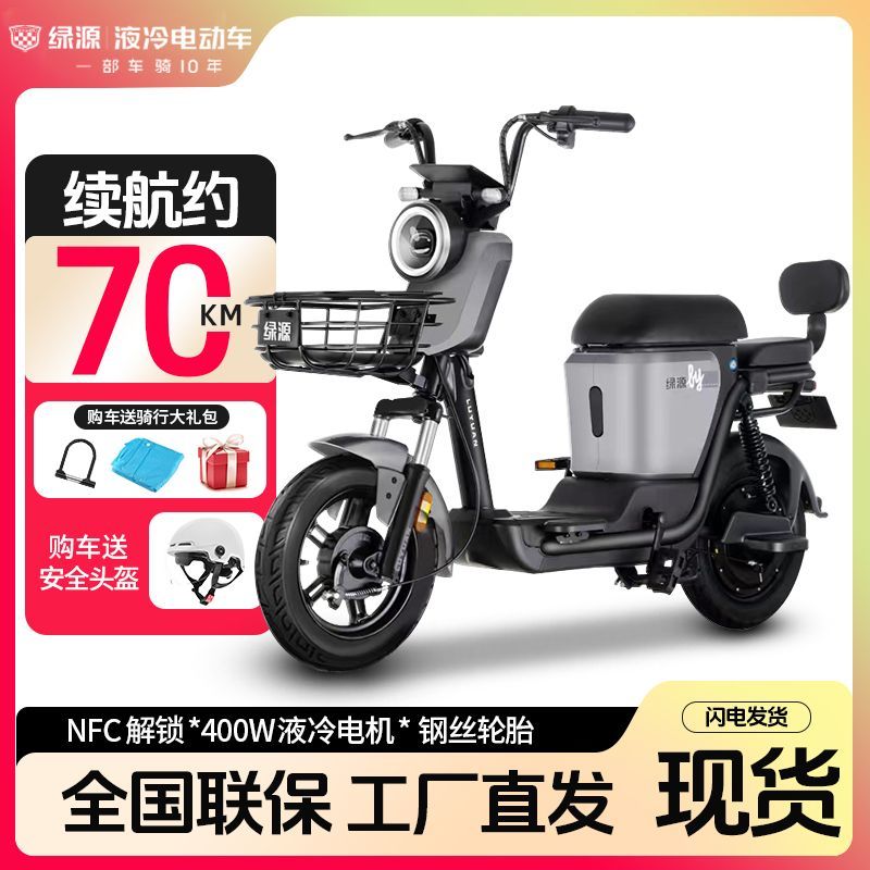 LUYUAN 绿源 ZFA 48V20Ah 磷酸铁锂电池 新国标电动自行车