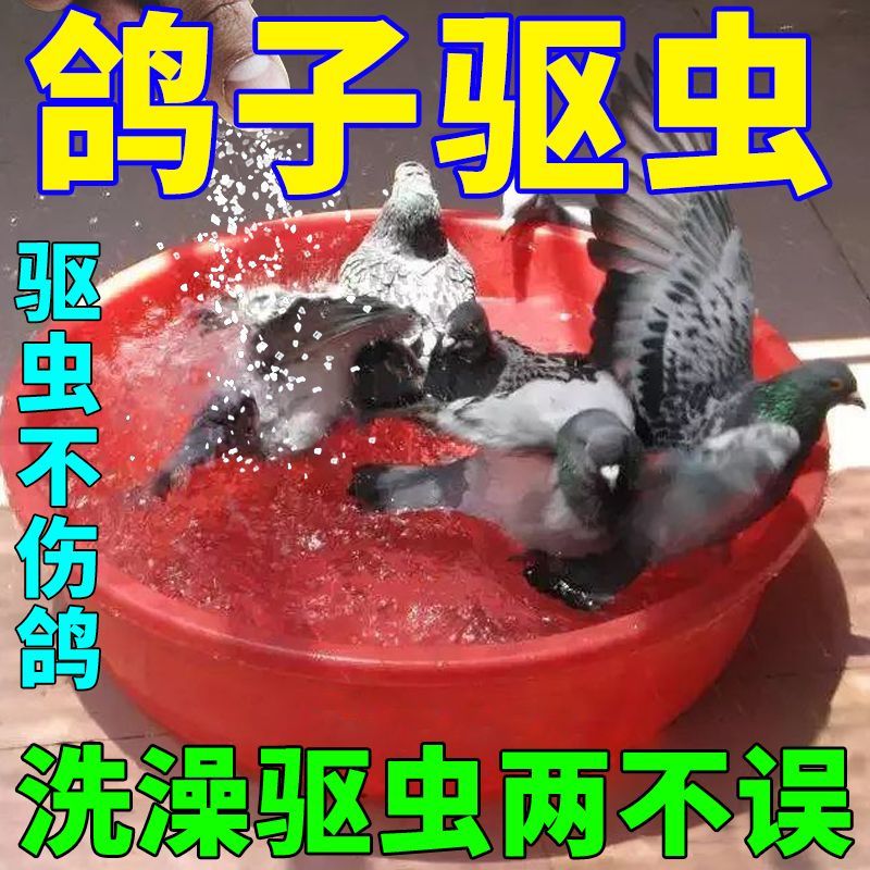 鸽子洗澡驱虫专用驱虫不伤鸽体外杀菌止痒杀虫除虱螨鸟用沐浴盐