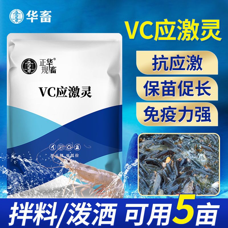 华畜VC应激灵水产养殖专用维生素C电解多维抗应激解毒