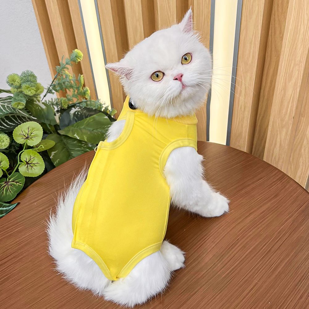 商品缩略图 4