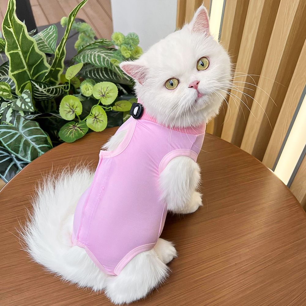 宠物用品猫咪衣服绝育术后服公母狗防舔咬柔软超弹英短蓝猫无毛