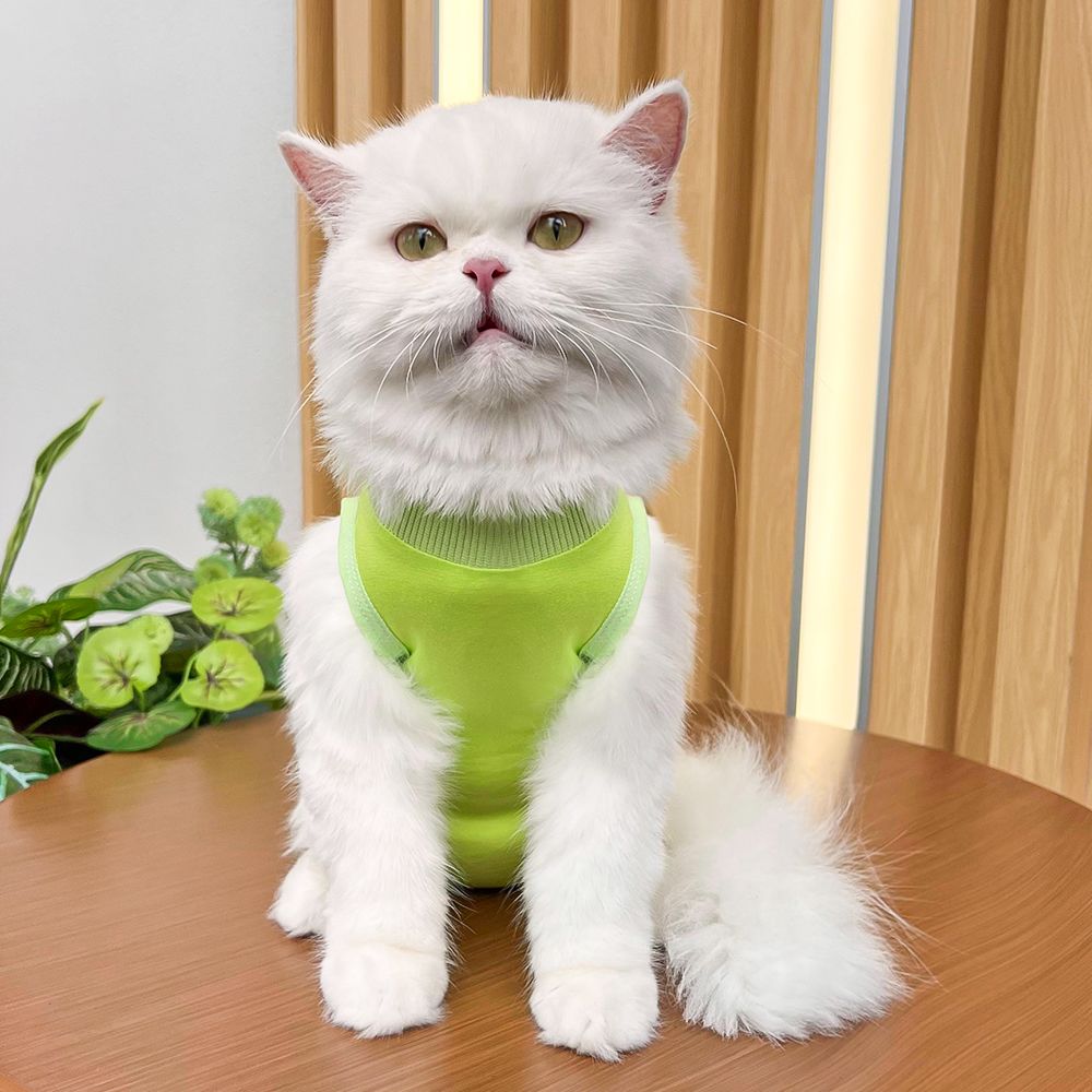 商品缩略图 10