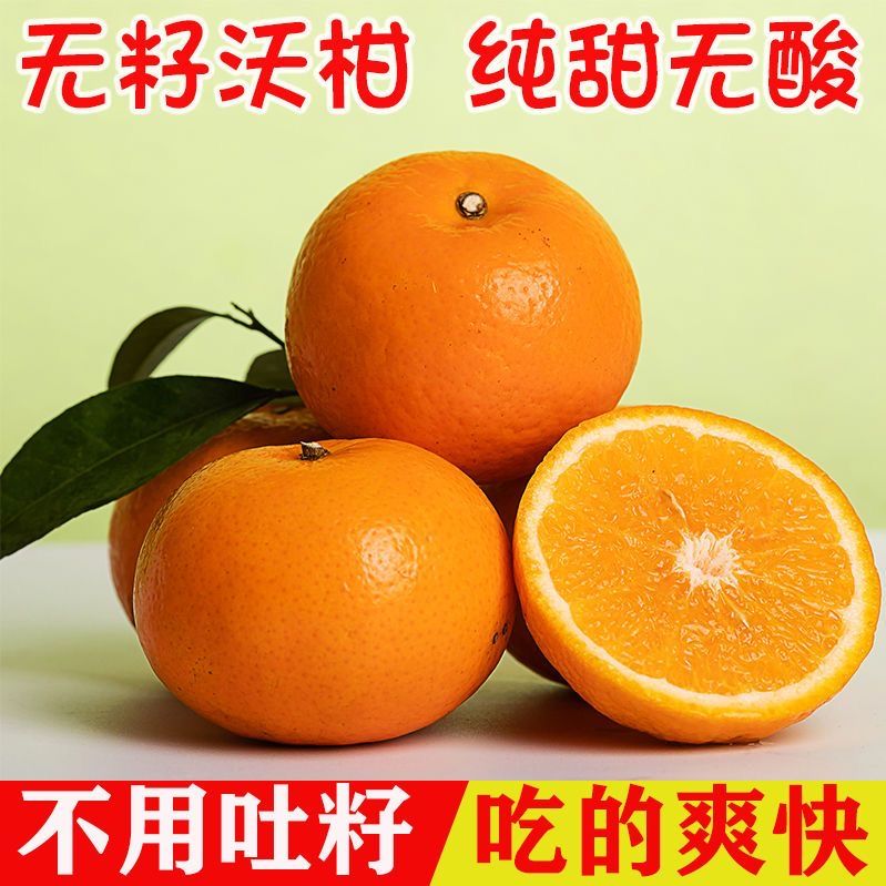 广西武鸣沃柑无核沃柑无籽沃柑柑橘新鲜现采水果
