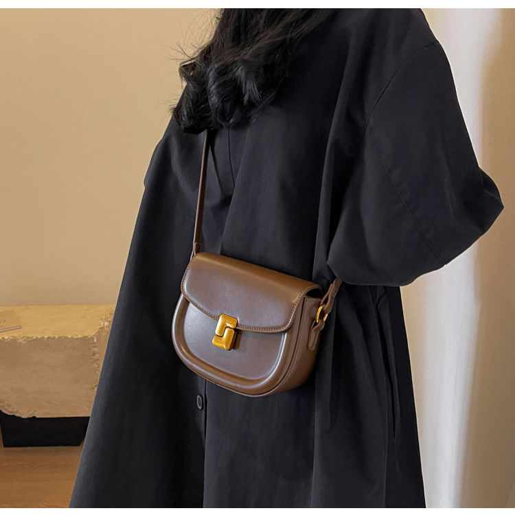 Niche High-End Saddle 2024 Autumn Winter New Ins Handbag Versatile Crossbody Shoulder Bag_voghion.com