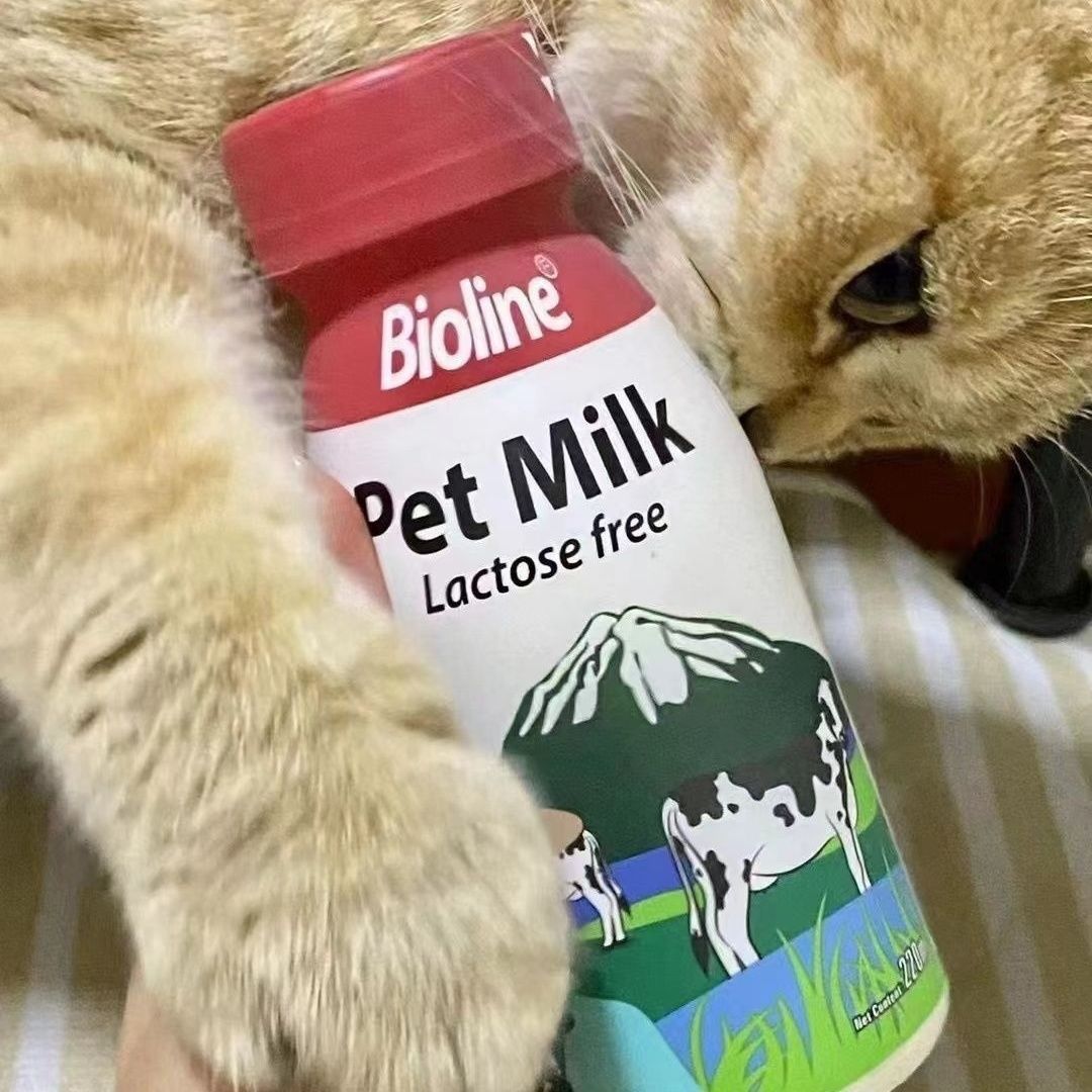 Bioline宠物牛奶斑斓犬猫通用O乳糖全脂小狗幼犬成犬牛奶补水牛乳
