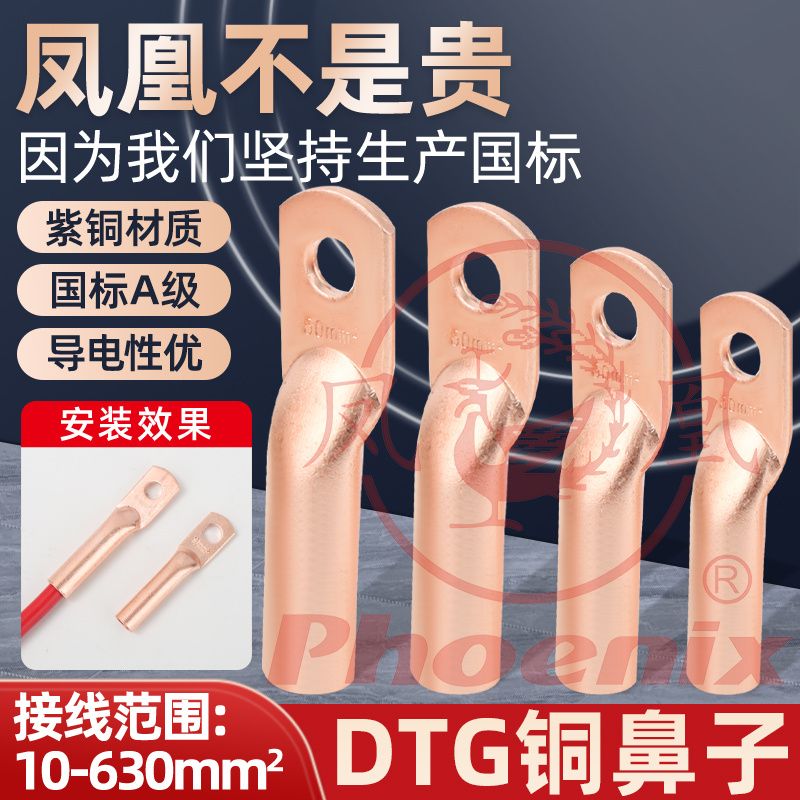 16平方铜鼻子 凤凰正品DTG堵油式紫铜端子