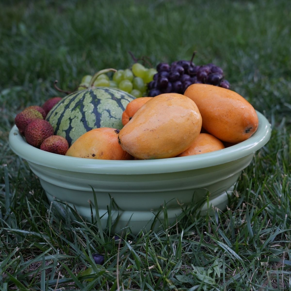 Secchio pieghevole da esterno con coperchio bacino portatile_voghion.com