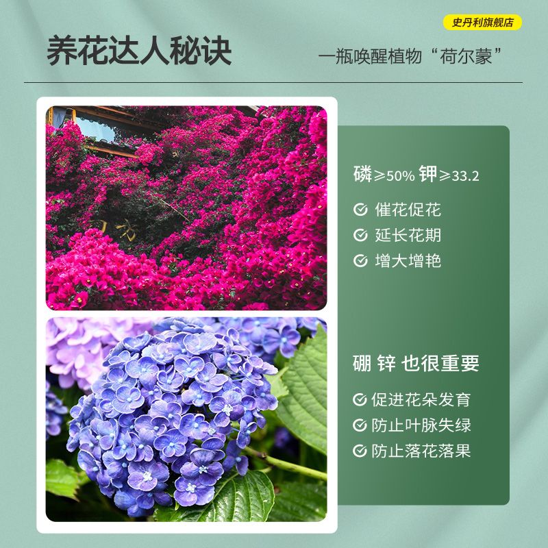 史丹利磷酸二氢钾肥料花卉专用正品农用家用盆栽花肥植物水溶肥 图片 4
