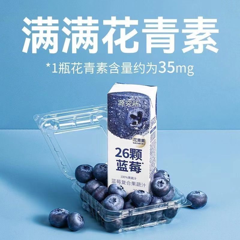 源究所益果之力蓝莓汁果蔬汁复合果味0脂正品饮料200ml健康小饮品