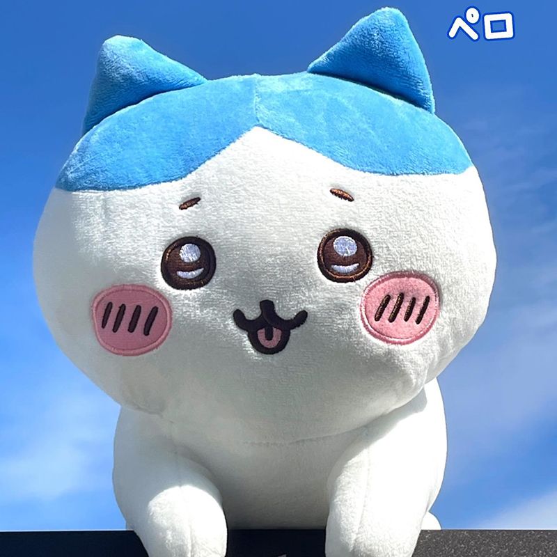 ຕຸ໊ກກະຕາ ຂົນນຸ້ມ