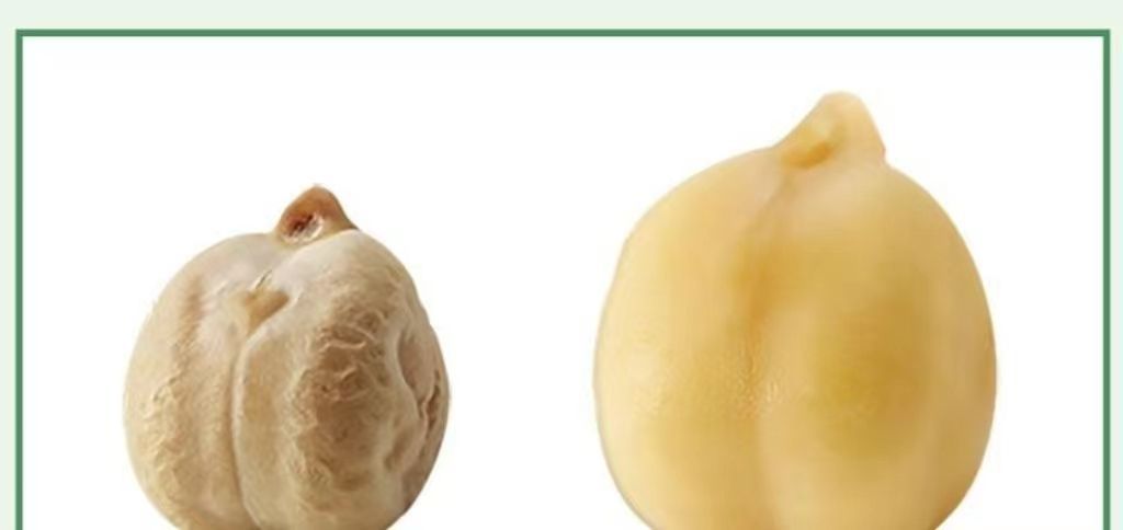 新疆木垒生鹰嘴豆新豆净重可发芽批发价打豆浆煲汤煮粥个大饱满