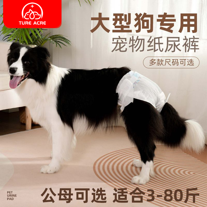 大型犬母狗公狗专用纸尿裤萨摩耶狗狗女狗宠物尿不湿大狗生理裤