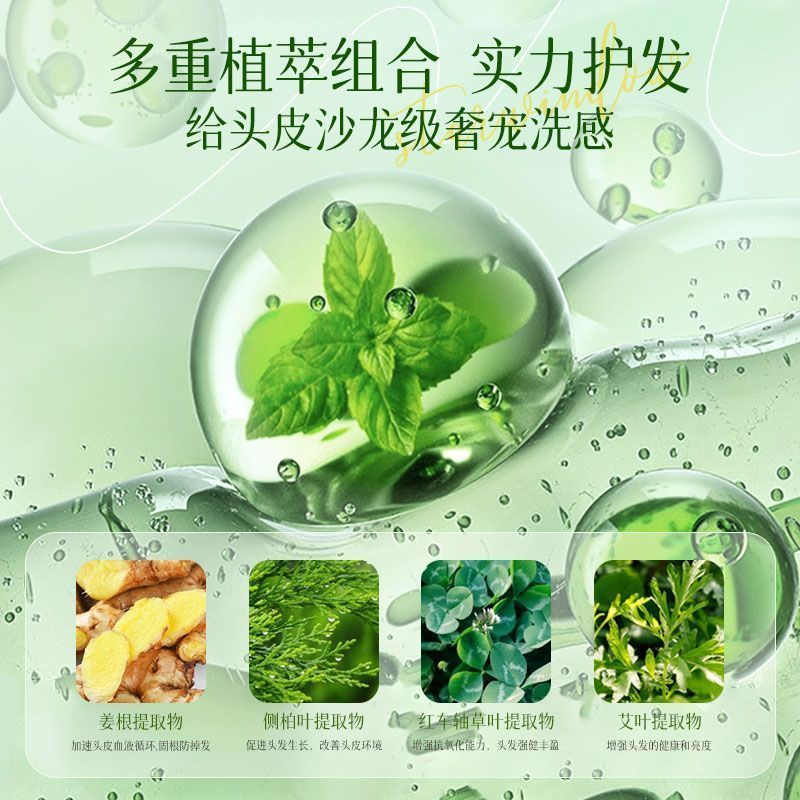 星窗洗发水控油蓬松洗发露去屑止痒洗发膏套持久留香护发护发安瓶
